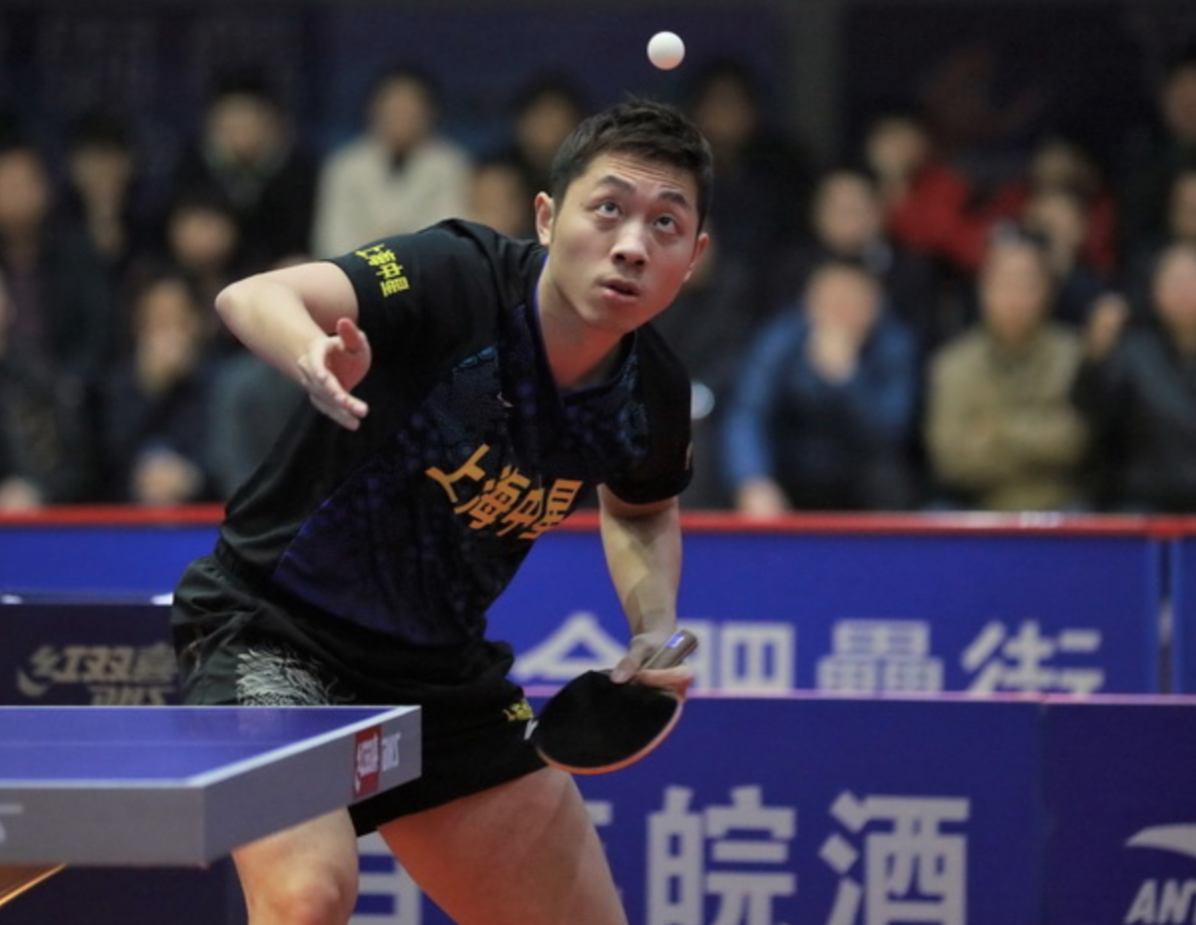 开云体育登录-包含中国乒乓球队完胜比利时乒乓球队,许昕打破历史纪录的词条