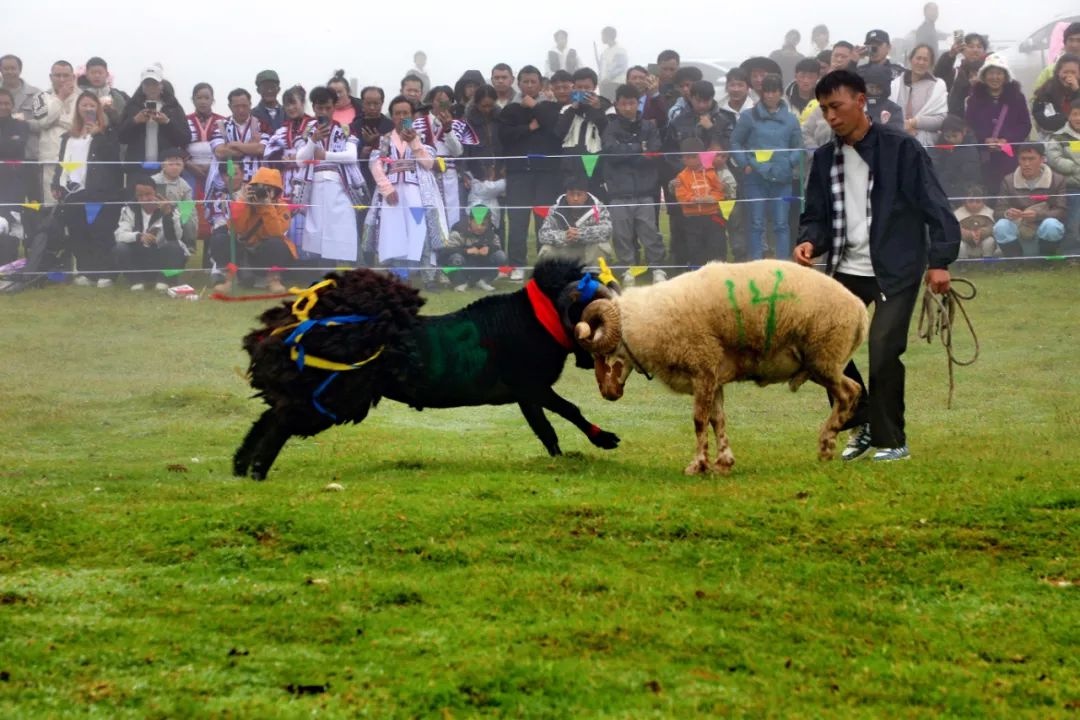 精彩纷呈的比赛画面让人目不暇接,难以眨眼的简单介绍 精彩纷呈的比赛画面让人目不暇接,难以眨眼的简单介绍