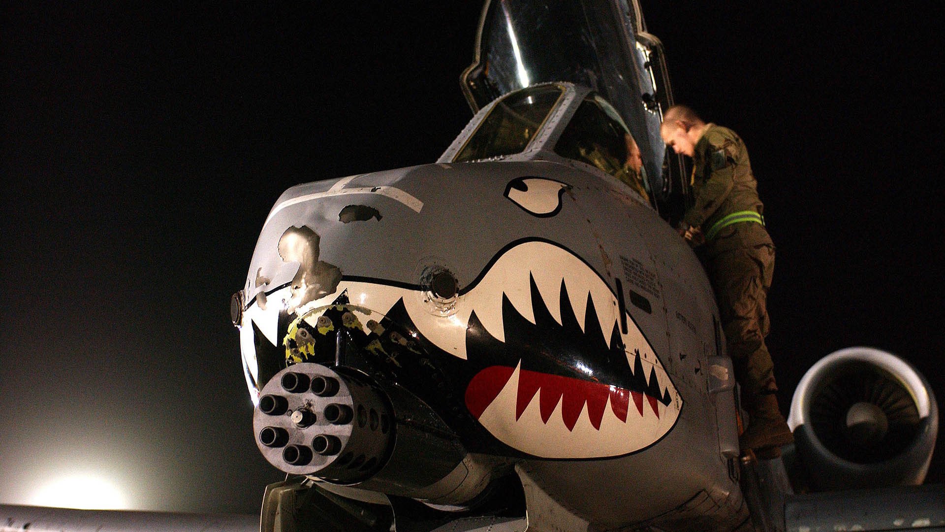 开云平台-绿茵场上的南半球收割，德里赫特满分演出，新西兰战术如何爱尔兰式收割？